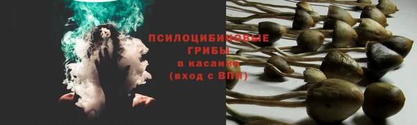 MDMA Premium VHQ Липки